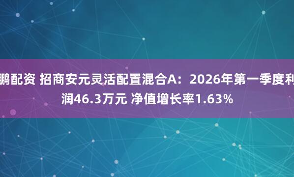 鹏配资 招商安元灵活配置混合A：2026年第一季度利润46.3万元 净值增长率1.63%