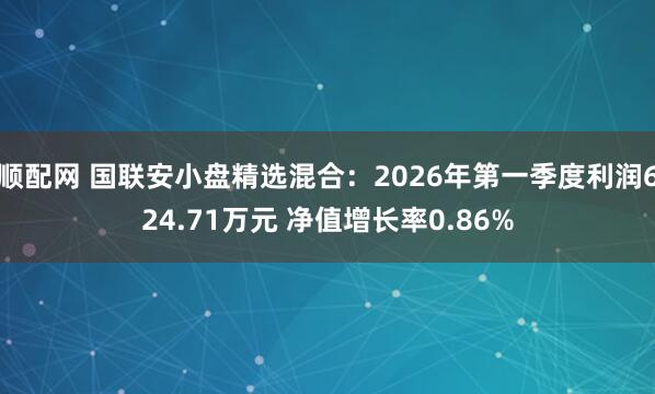 顺配网 国联安小盘精选混合：2026年第一季度利润624.71万元 净值增长率0.86%