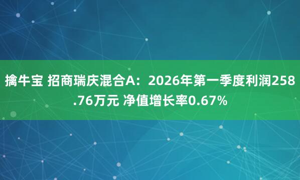 擒牛宝 招商瑞庆混合A：2026年第一季度利润258.76万元 净值增长率0.67%